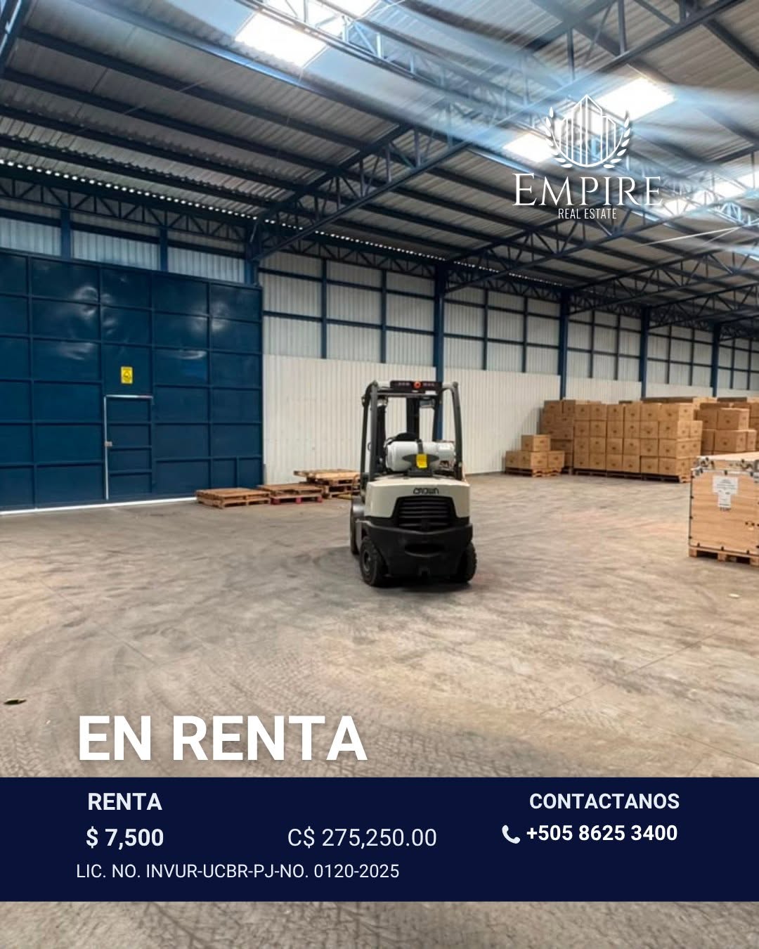 Bodega Comercial - imagen 5